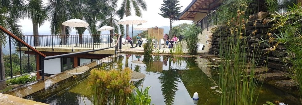Jardín con piscina y personas